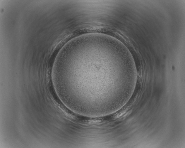 X0000067920462200604131413