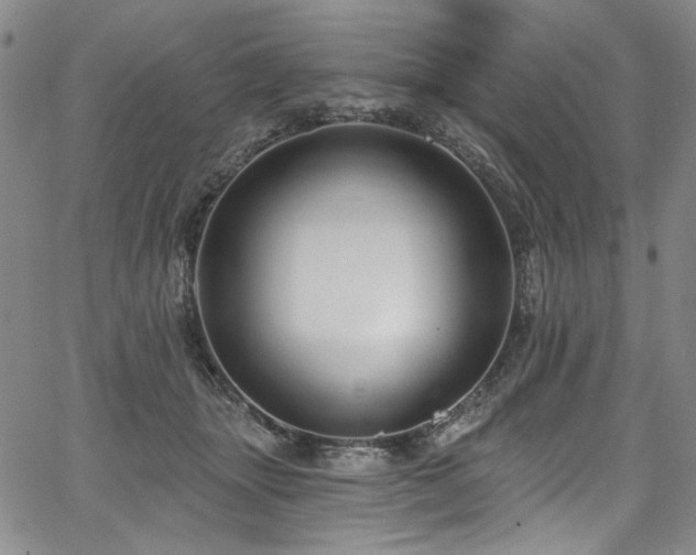 X0000067920463200604131413