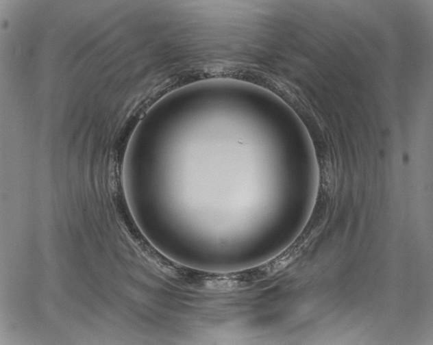 X0000067920470200604131413