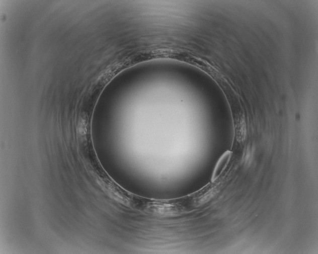 X0000067920472200604131413