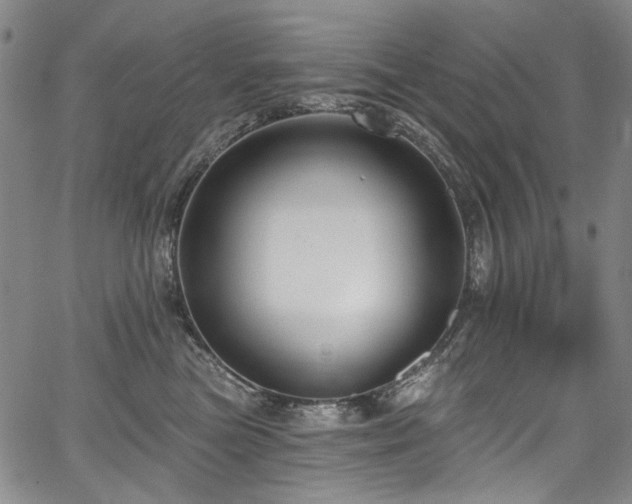 X0000067920473200604131413