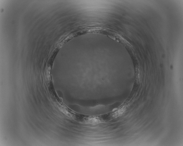 X0000067920475200604131413