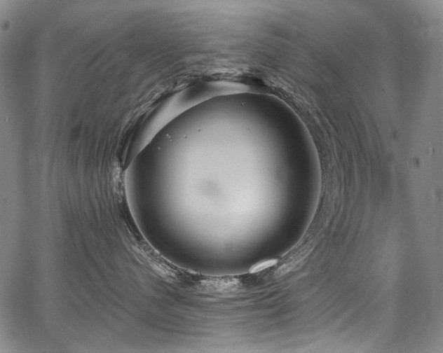 X0000067920480200604131413