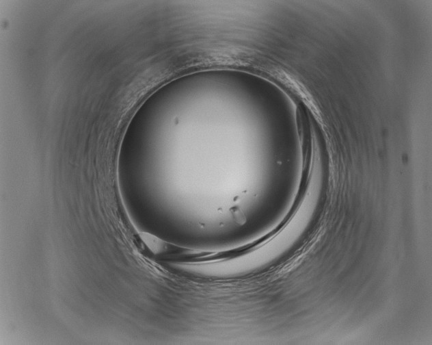 X0000067920481200604131412