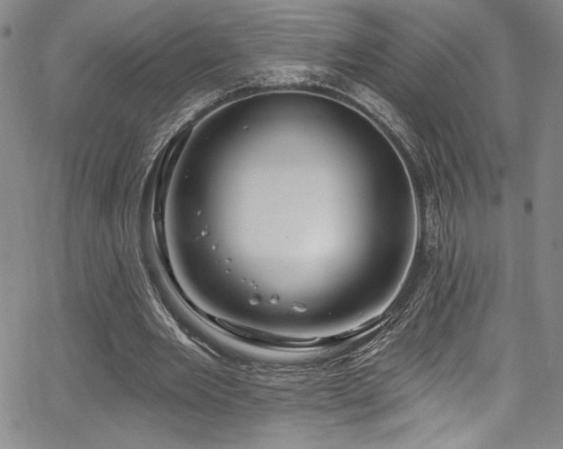 X0000067920485200604131412