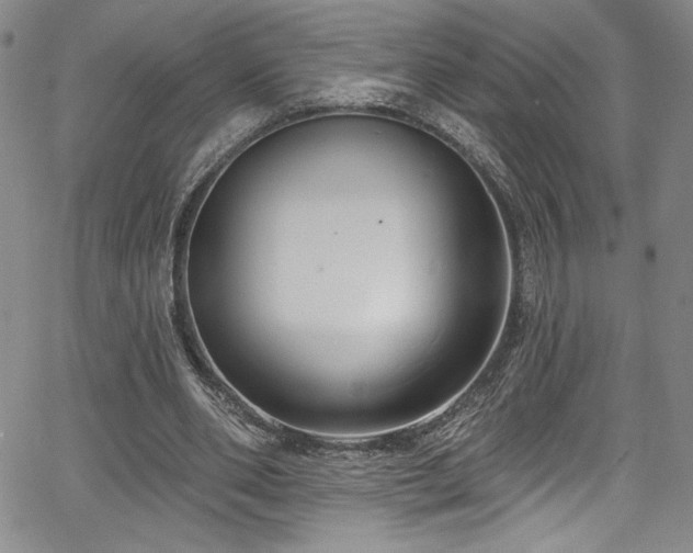 X0000067920486200604131412