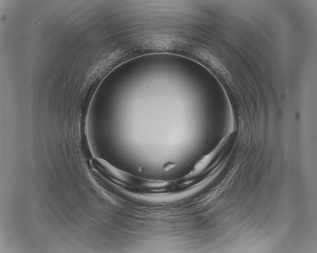 X0000067920493200604131412