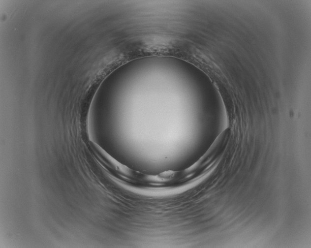 X0000067920508200604131412