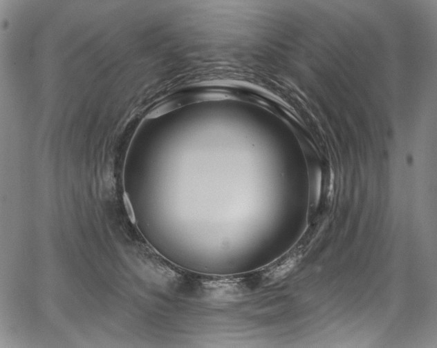 X0000067920516200604131412