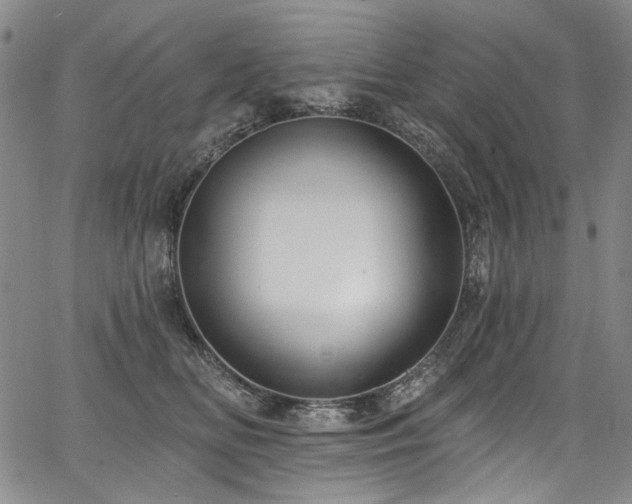 X0000067920518200604131412