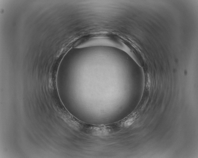 X0000067920524200604131412