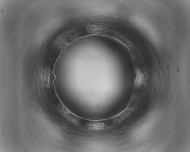 X0000067920525200604131412