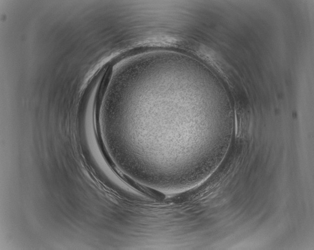 X0000067920531200604131411