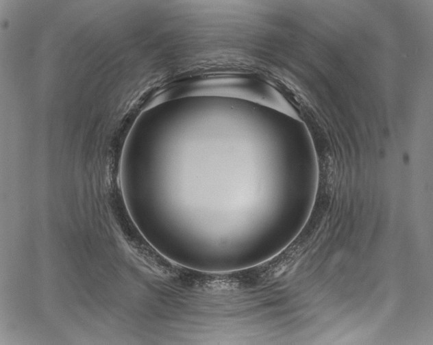 X0000067920546200604131411