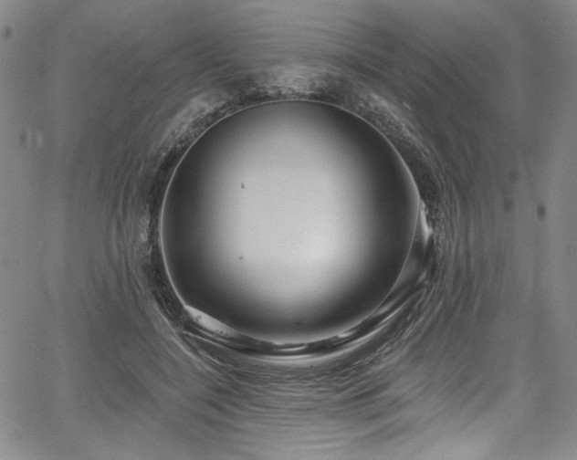 X0000067920548200604131411