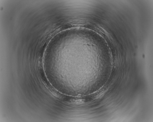 X0000067920553200604131411