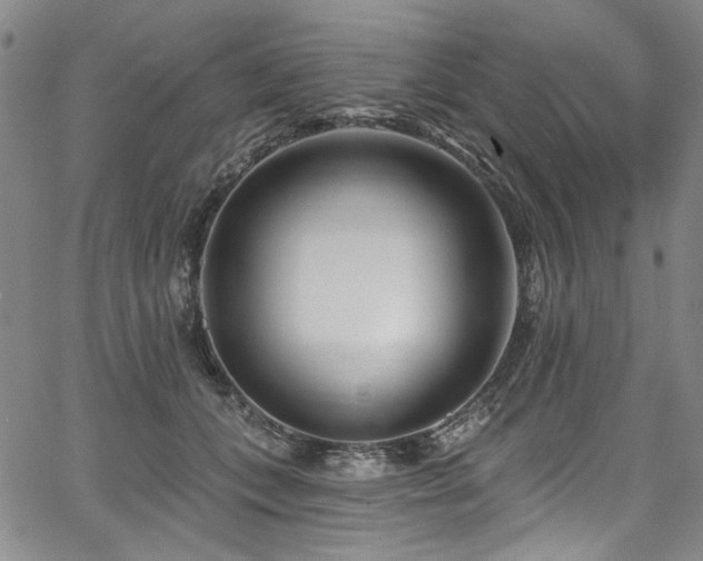 X0000067920559200604131411