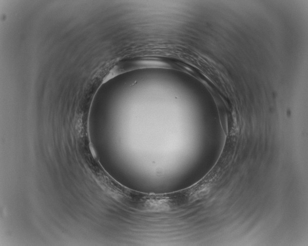X0000067920560200604131411