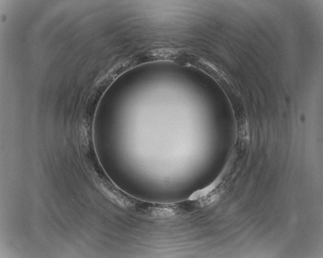 X0000067920572200604131412