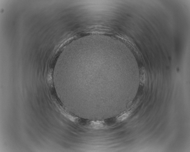 X0000067920573200604131412