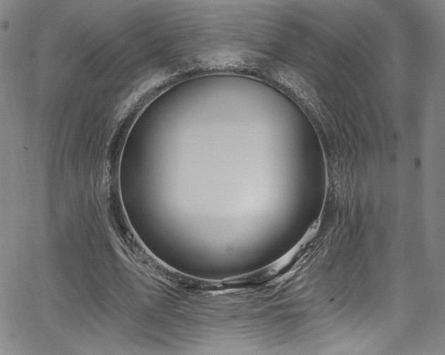 X0000067920583200604131411