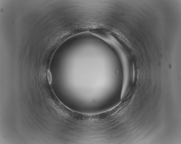 X0000067920593200604131411