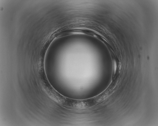 X0000067920600200604131410