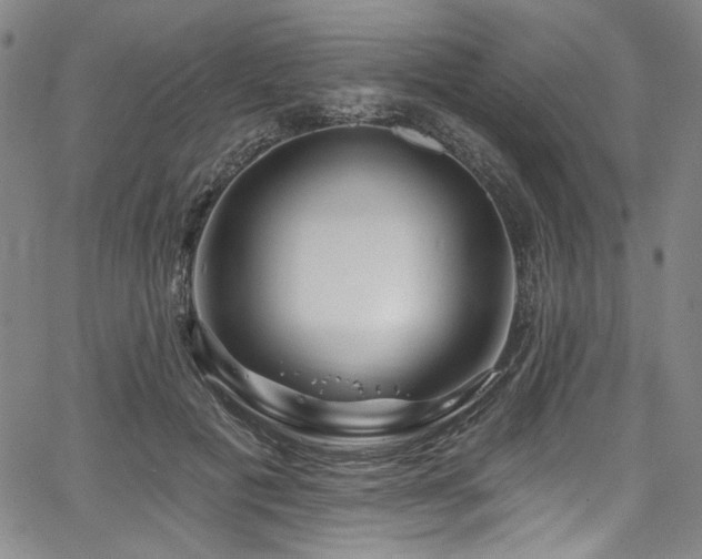 X0000067920601200604131410