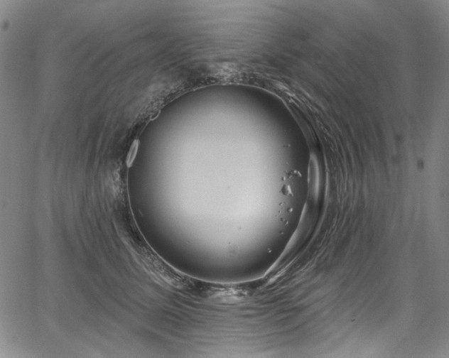 X0000067920611200604131410