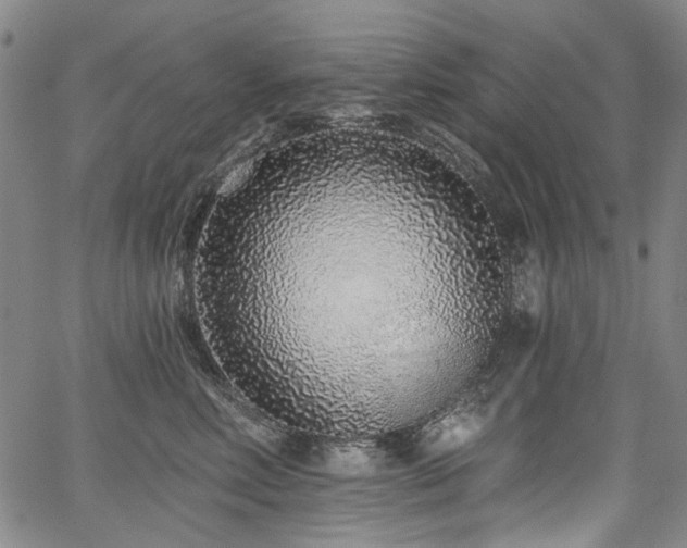 X0000067920618200604131410