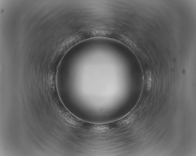 X0000067920619200604131410
