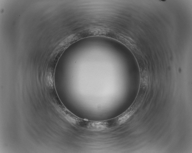 X0000067920622200604131410