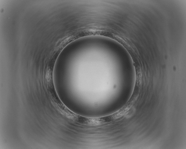X0000067920623200604131410