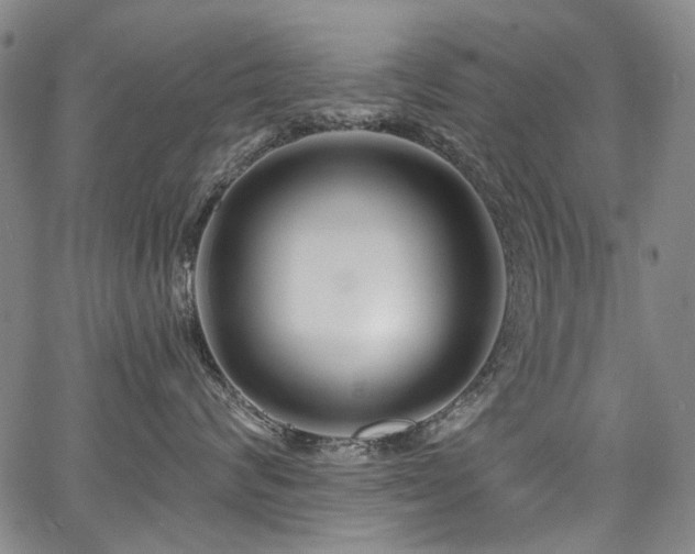 X0000067920624200604131410