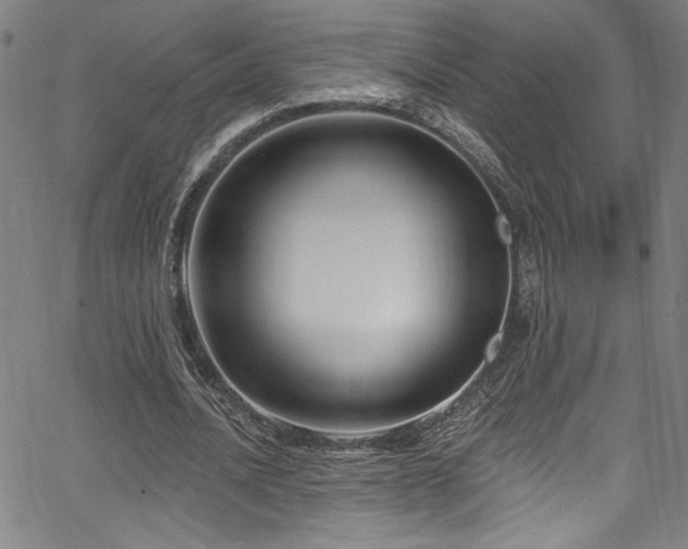 X0000067920628200604131409