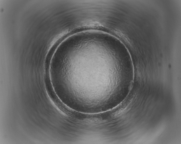 X0000067920630200604131409