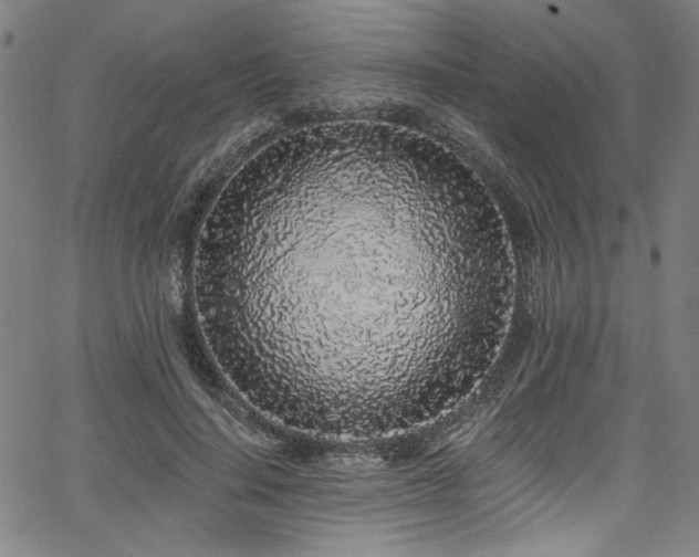 X0000067920644200604131410