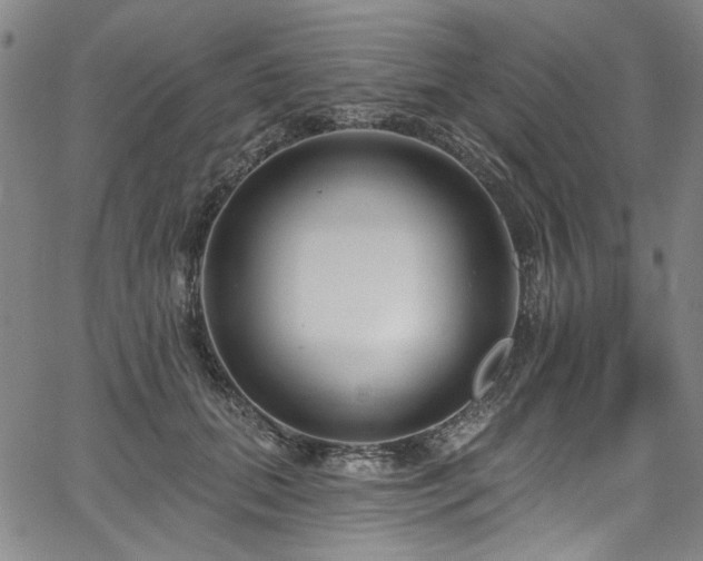 X0000067920655200604131410