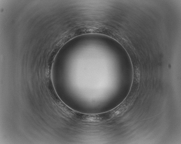 X0000067920657200604131410