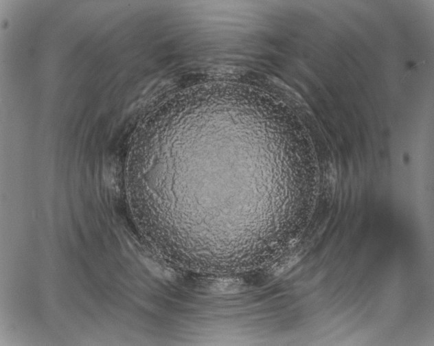 X0000067920663200604131410