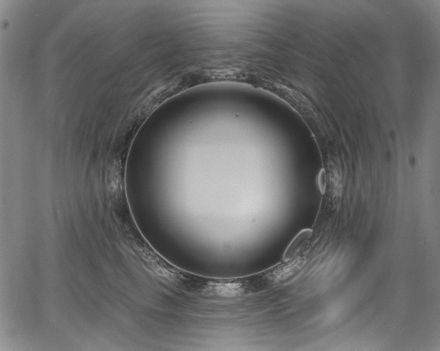 X0000067920665200604131410