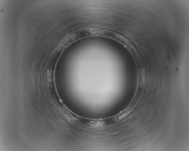 X0000067920667200604131410