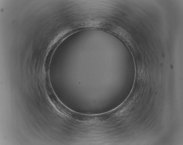 X0000067920674200604131409