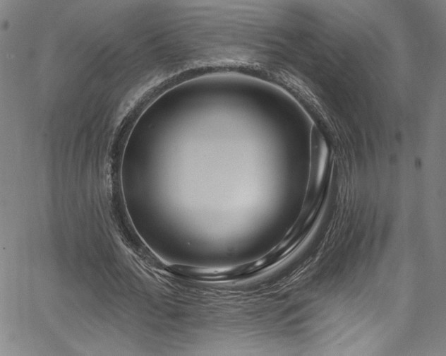 X0000067920676200604131409