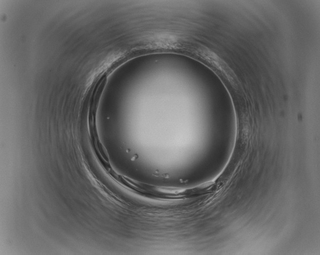 X0000067920677200604131409