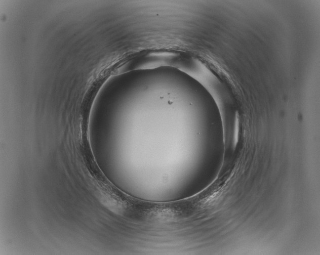 X0000067920685200604131409