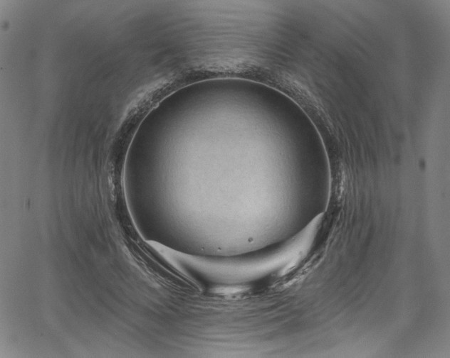 X0000067920688200604131409