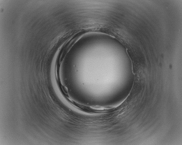 X0000067920693200604131409