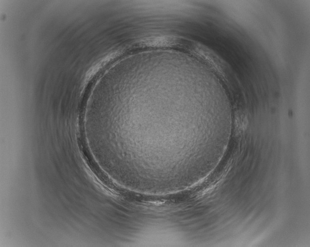 X0000067920725200604131408