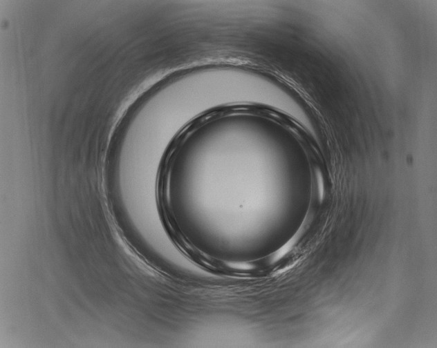 X0000067920726200604131408